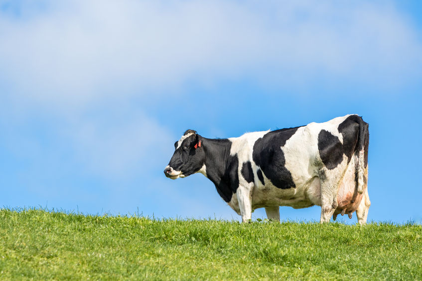 The funding is targeted towards the hardest hit dairy farmers