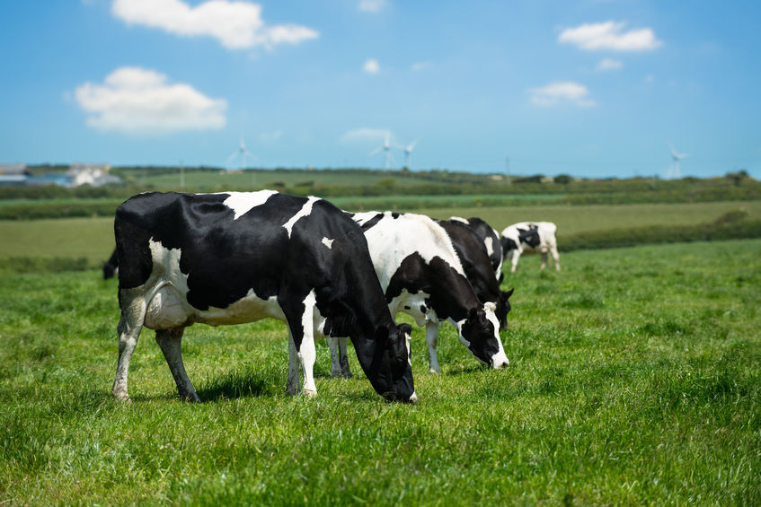 It comes as news that many British children don't know where milk comes from..