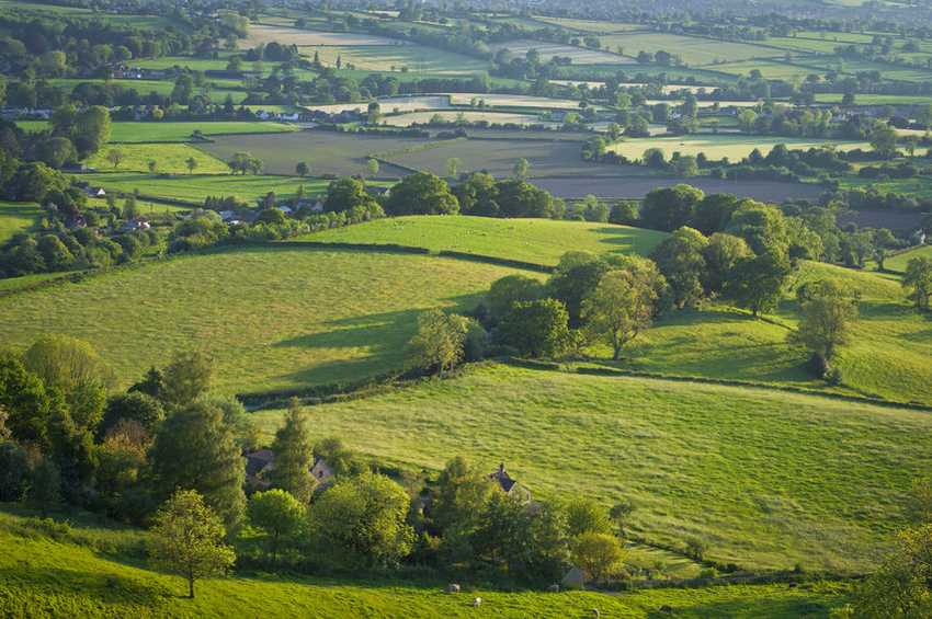 The UK continues to lead the way in research to protect woodlands and tackle tree pests and diseases