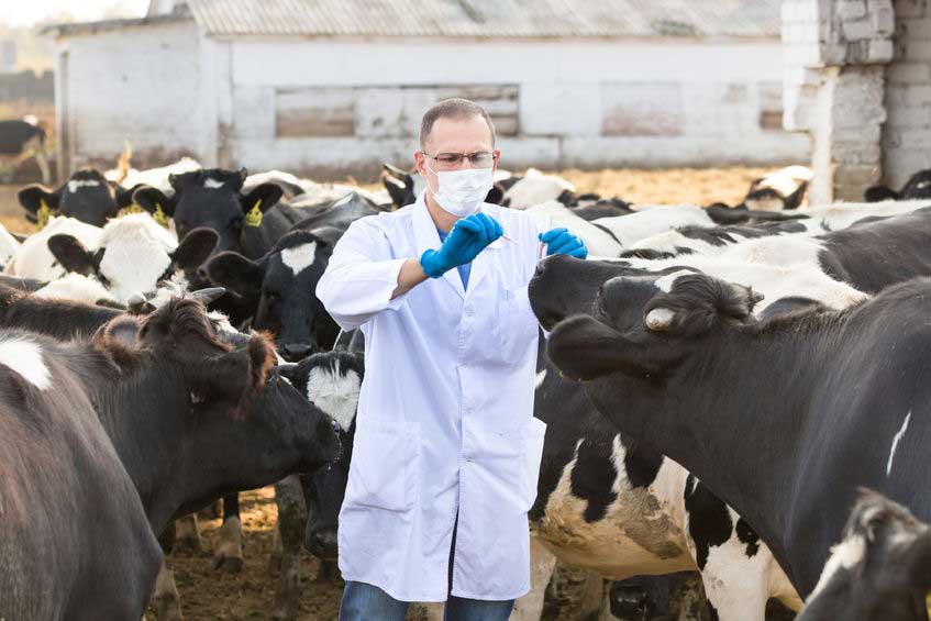The government has set an average national target for antibiotic use on-farm of 50mg/kg by 2018