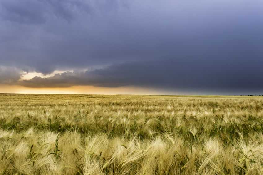 Farmers' confidence has been dropping amid political uncertainty...