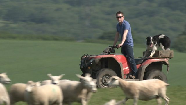 Brexit marks a seismic shift for the UK's food and farming industry, but what will it mean for the consumer? (Photo: BBC)
