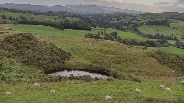 The Lamb Cam's view, which is live streamed