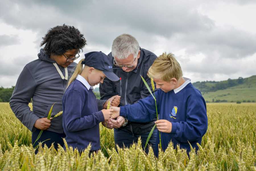 School children get hands on with nature during Warburtons farm visit