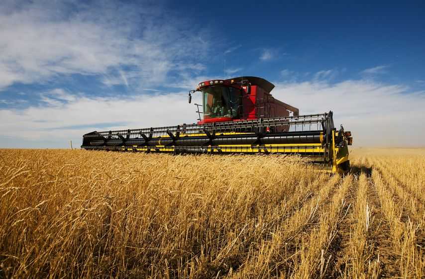 An increase in the area planted to spring barley but smaller wheat and oilseed rape areas are among the key findings from the survey