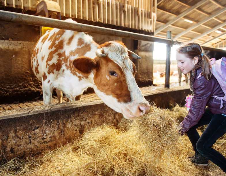 The reasoning behind the move is because pupils are not taking agricultural subjects enough (Stock photo)