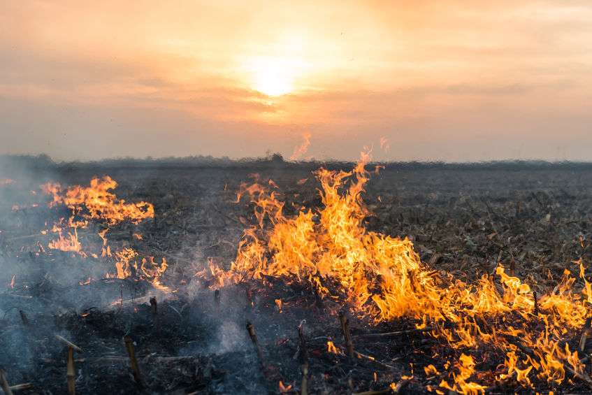 The fire was dealt with after 2 hours, leaving wheat fields burnt and smoking (Stock photo)