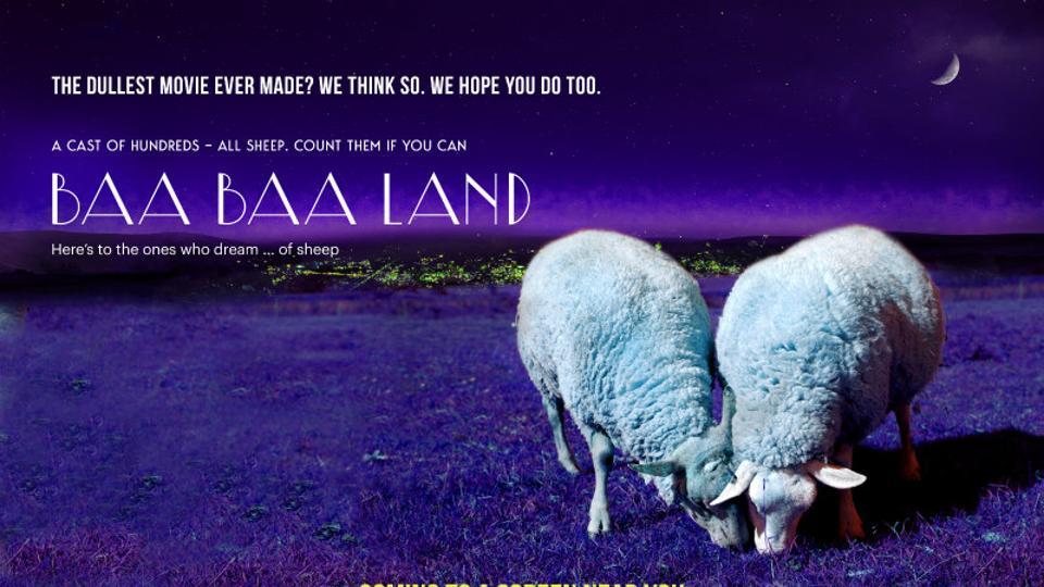 Baa Baa Land has no car-chases, explosions or star names. All it has is sheep and fields