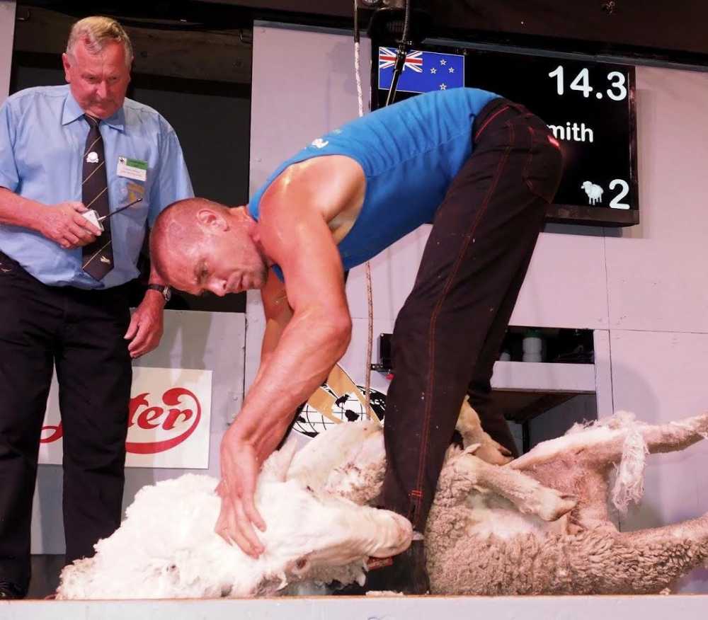 Rowland Smith, from New Zealand, set a new shearing world record in the UK