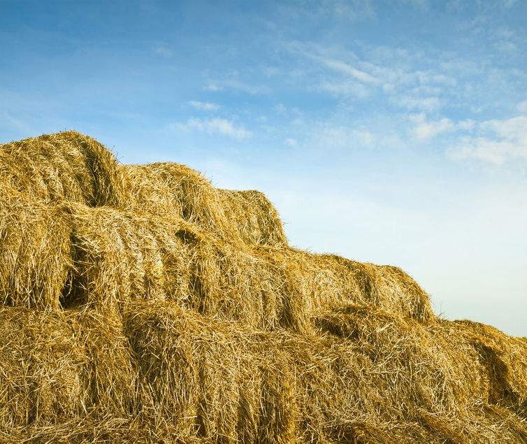 Transporting and stacking large hay bales has, over recent years, resulted in numerous injuries to and deaths