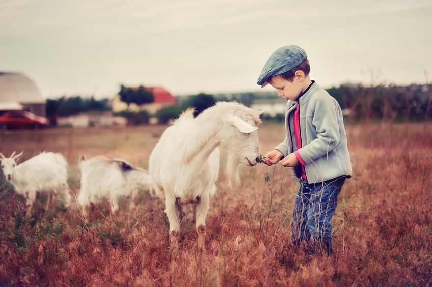‘Farm Secure’ features videos and an interactive quiz to help children think about dangers of farms
