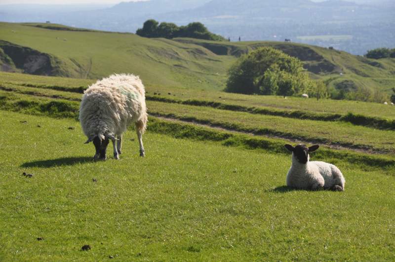 The scheme is worth around £6 million