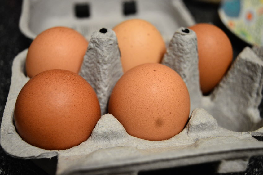 The business was losing £150 a week because people were stealing eggs