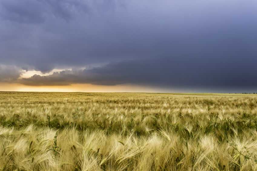 NFUS survey identifies key issues for the next generation