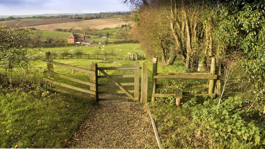 A fifth of English farms have disappeared in the past 10 years