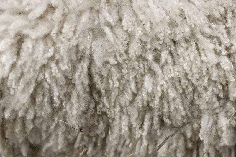 KWG is also classed as an  'A' merchant for the British Wool Marketing Board