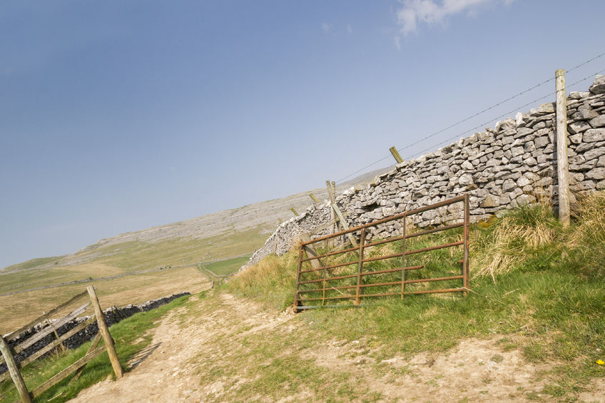 Michael Colgan will walk the Pennine Way to raise money for the 'hardships' farmers face