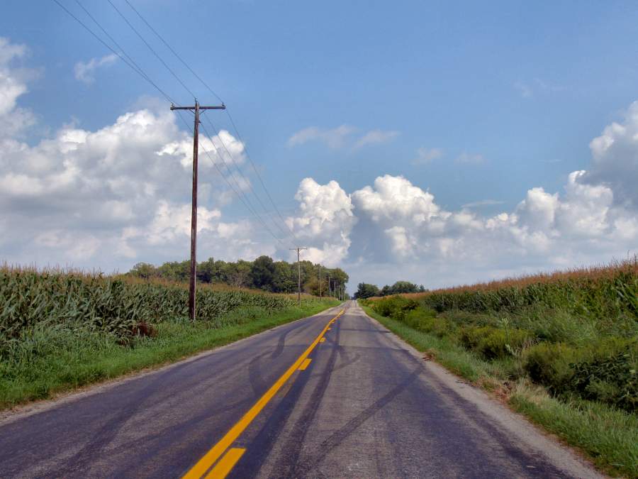 Brake calls for compulsory rural driving lessons for learners
