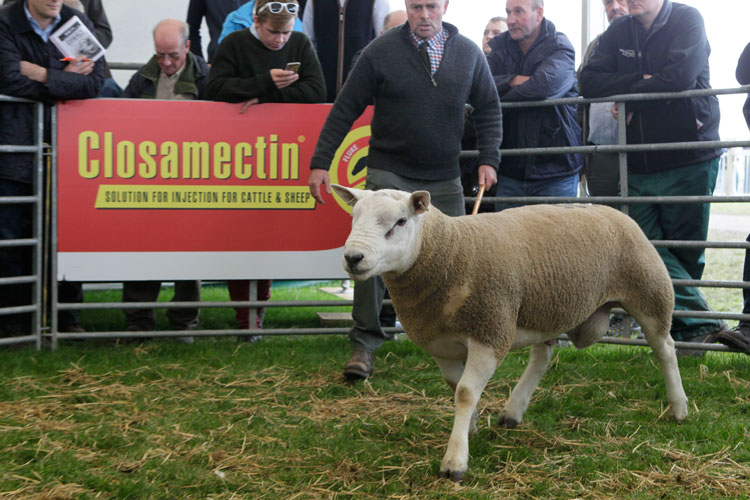 The advice comes as the sheep industry prepares for this year’s Closamectin Kelso Ram Sales event