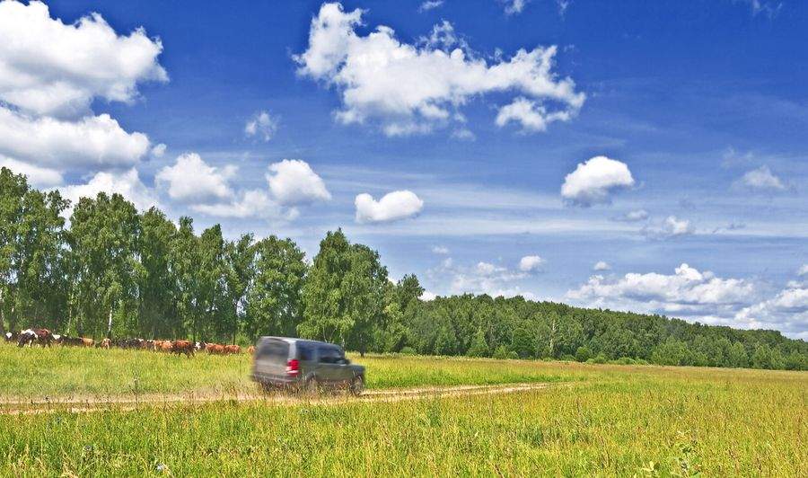 A man has been convicted of criminal damage to crops by driving on to farmland (Stock photo)