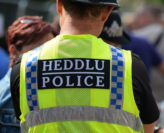 The police said livestock theft 'have both a financial and emotional impact on farmers'