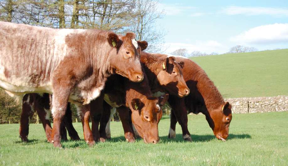 Many farmers remain concerned about the NI-GB price difference