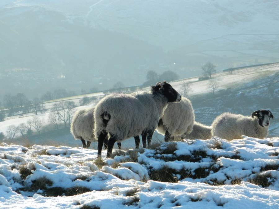 'Snowy scenes in the Peak District' by Erin Marsh