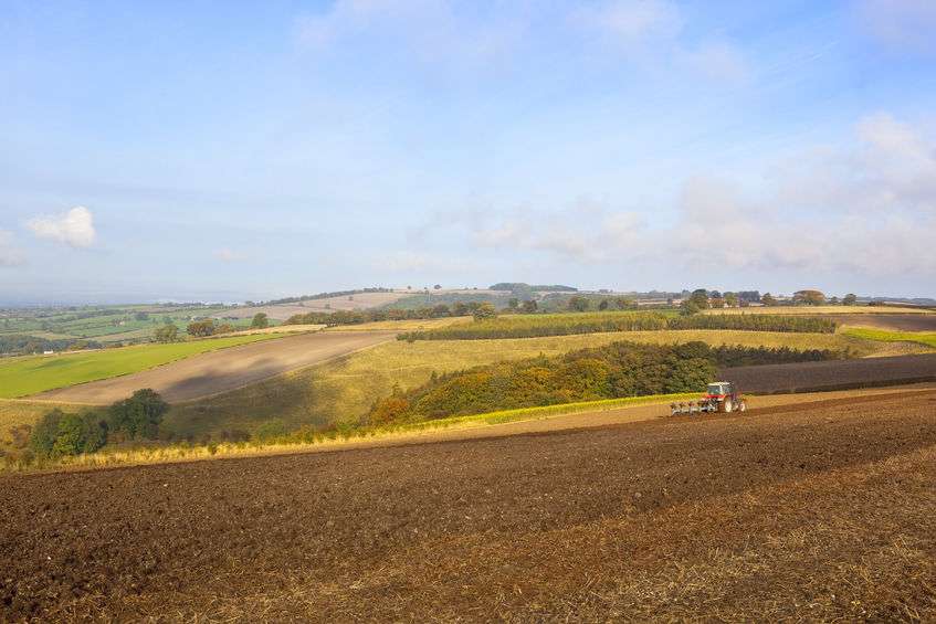 A recent Irish study showed that putting land into the hands of trained farmers increased output by 12%