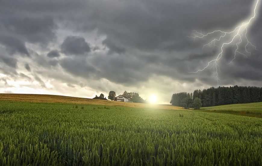 It is the fifth wettest summer since records began, and farmers are reporting a mixed bag of results