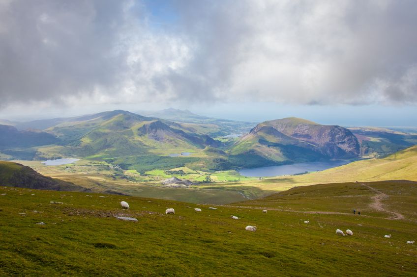 Scotland’s agriculture sector is dominated by livestock farmers and crofters