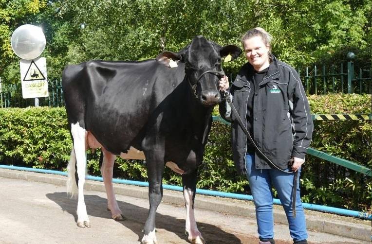 Holstein Australia exchange - Emma Algie of South Gippsland, Australia - comes to the UK 
