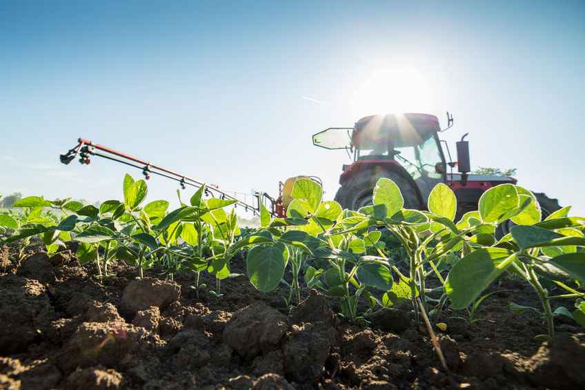 NFU Scotland has called for curbs on pesticides to be eased after Brexit