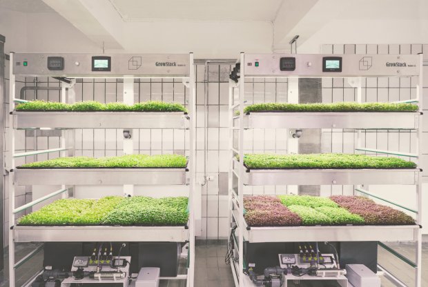 The modern ideas of vertical farming use indoor farming techniques and controlled-environment agriculture technology (Credit: SPACE10)