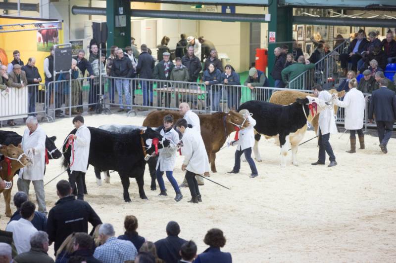 The English Winter Fair managed to secure a dispensation for the 2016 event, but no such solution is available this year