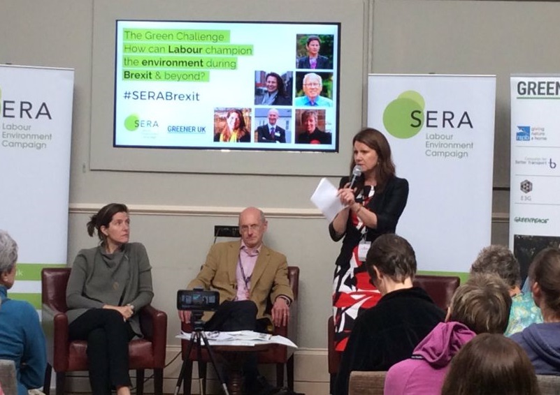 Shadow Defra Secretary Sue Hayman speaking at Labour's Environment Campaign SERA (Photo: Adam Dyster)