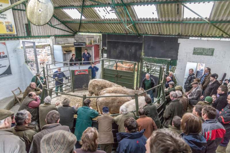 The council overlooked a proposal to close the livestock market