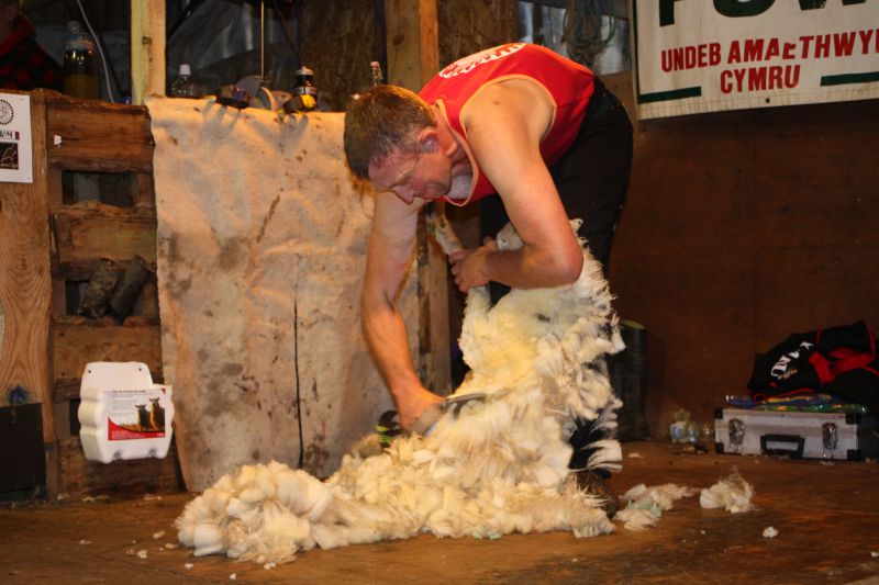 Gareth Owen achieving the single British blade shearing record