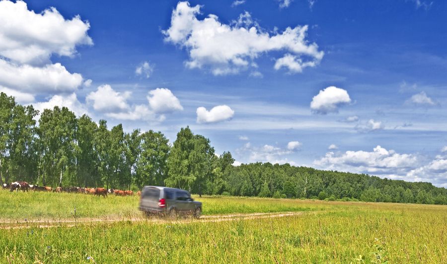 The statement calls for a new countryside ‘contract’ between farmers, landowners and society to include measures to increase woodland cover