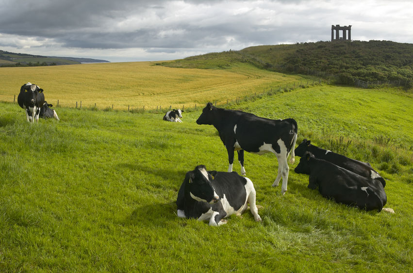 Retailer domination and liquid milk market continues to "starve" the dairy industry, the union said