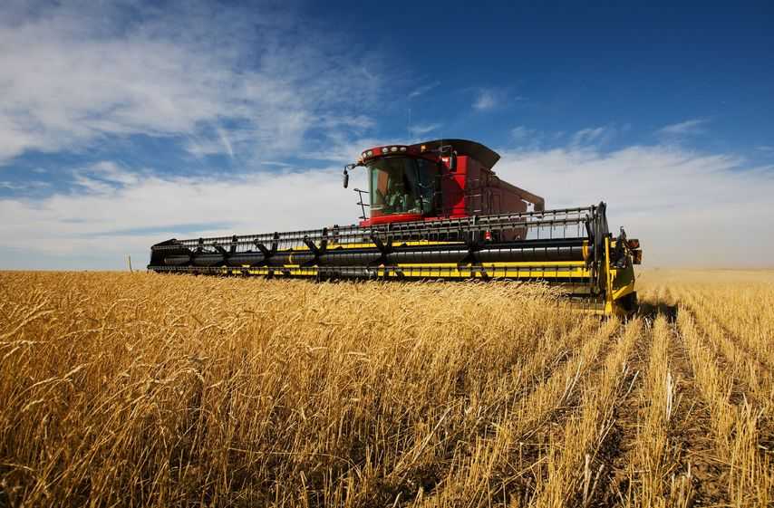 Mixed harvest shows need for Government to drive arable productivity, NFU survey shows