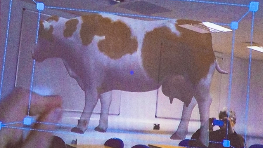 The Bovine Hololens project is set to bring cattle into the classroom to aid learning and teaching at Harper Adams University