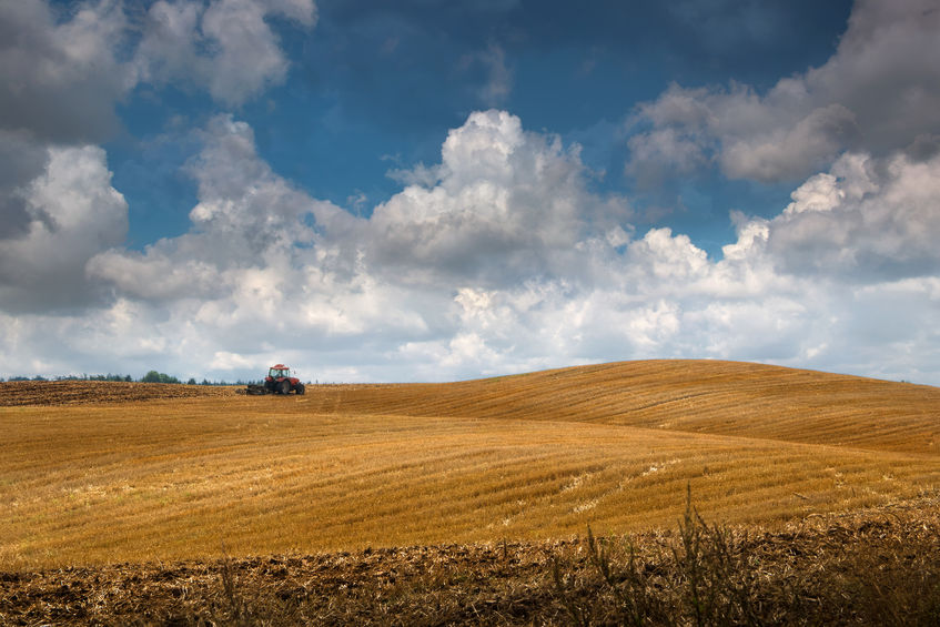 Professor Bateman said many small and average sized farms receive relatively little public support