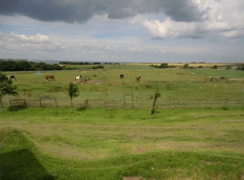 Barns Farm, near Saltburn, North Yorkshire