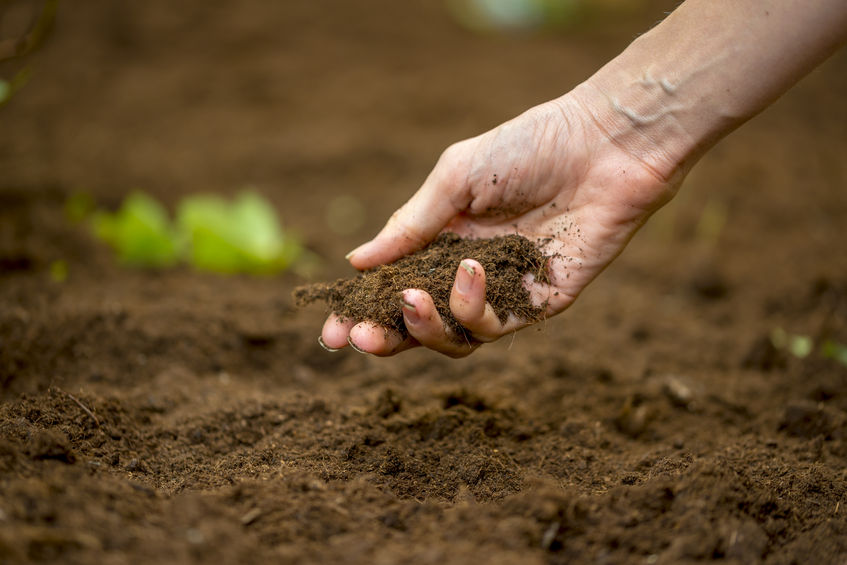 The Sustainable Soils Alliance said this is a "major concern" that the country must address.