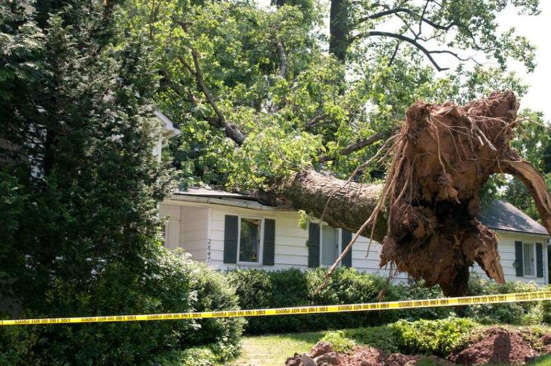 Damage appears to be mostly for slates or roofing sheets ripped from houses and farm buildings - together with damage to properties and vehicles from falling trees