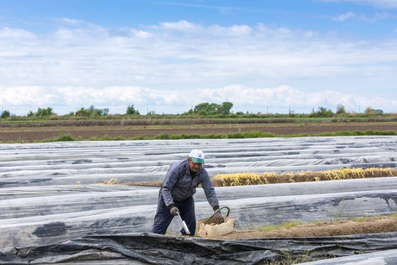 Worker shortages could cause supply chain disruption next year, the NFU has warned