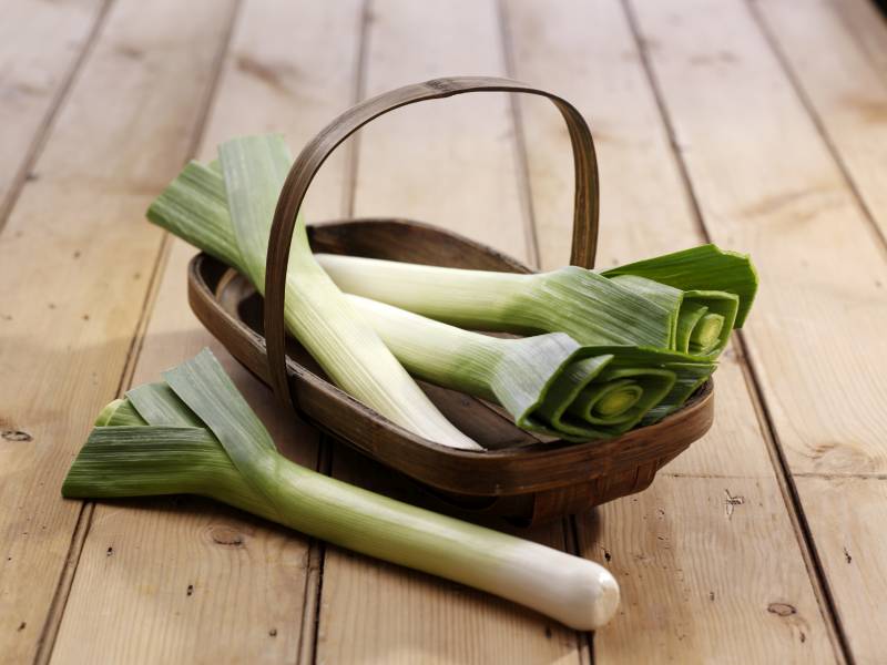 New promotional campaign to promote leeks launches