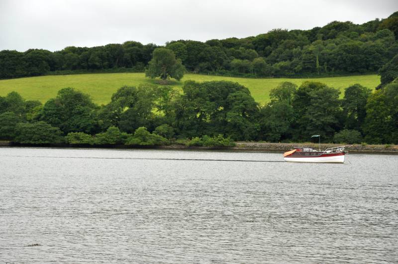 The amnesty was initially trialled last year in the River Fowey catchment in Cornwall