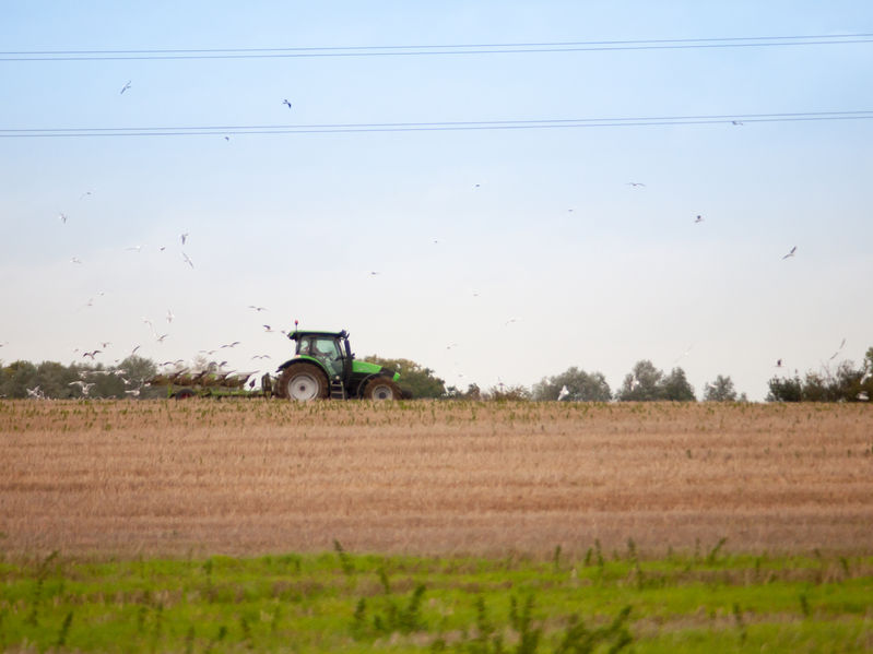 Average farm business income increased across all farm types except for specialist poultry farms