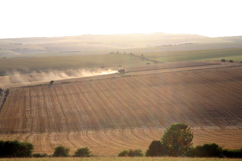 For wheat, figures put the 2017 harvest at 15.2 million tonnes